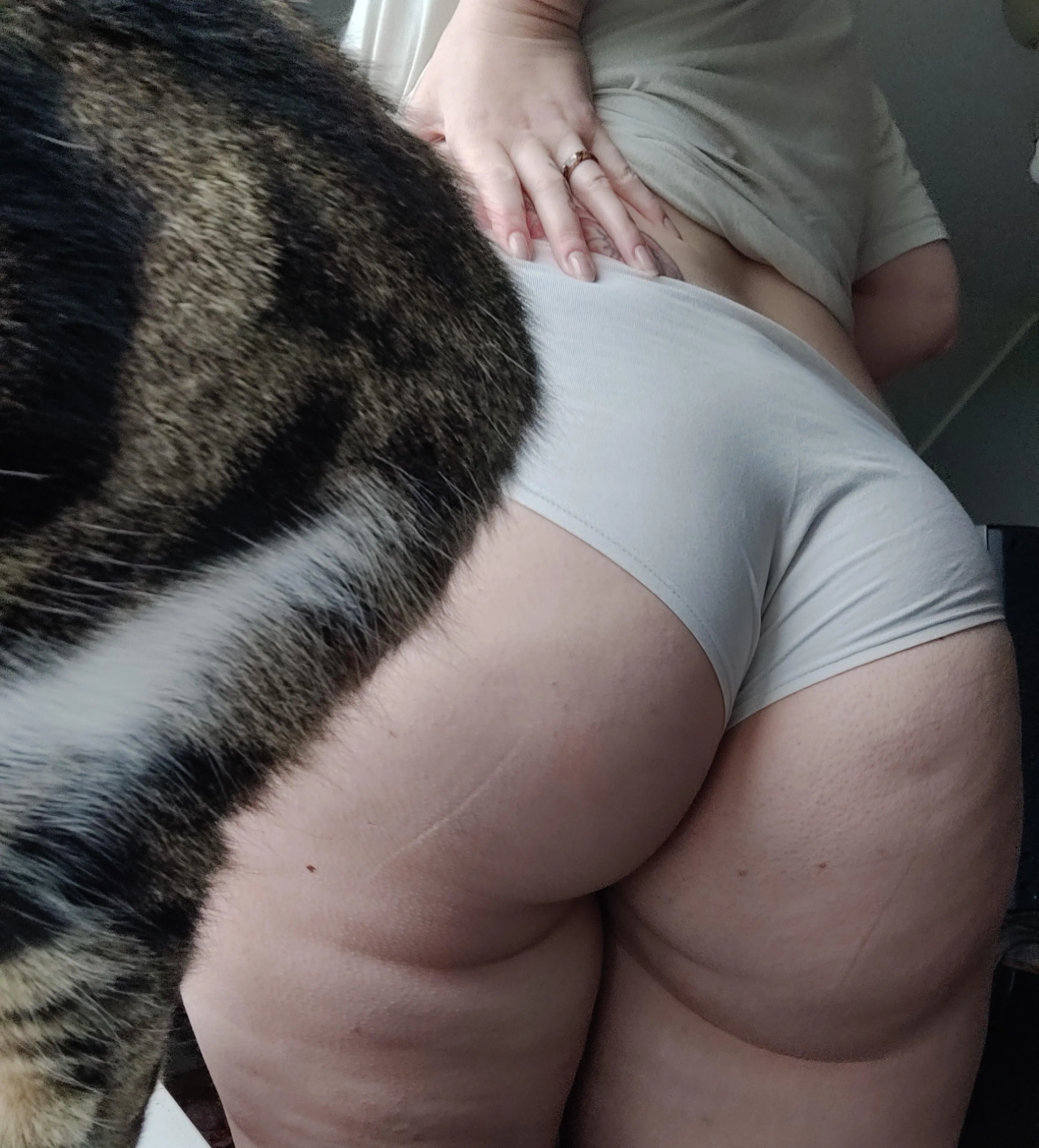 Happy Hump Day! Bonus cat butt