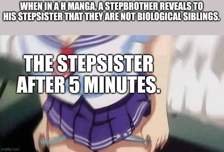 The stepsister If it&#039;s not real incest, no problem.