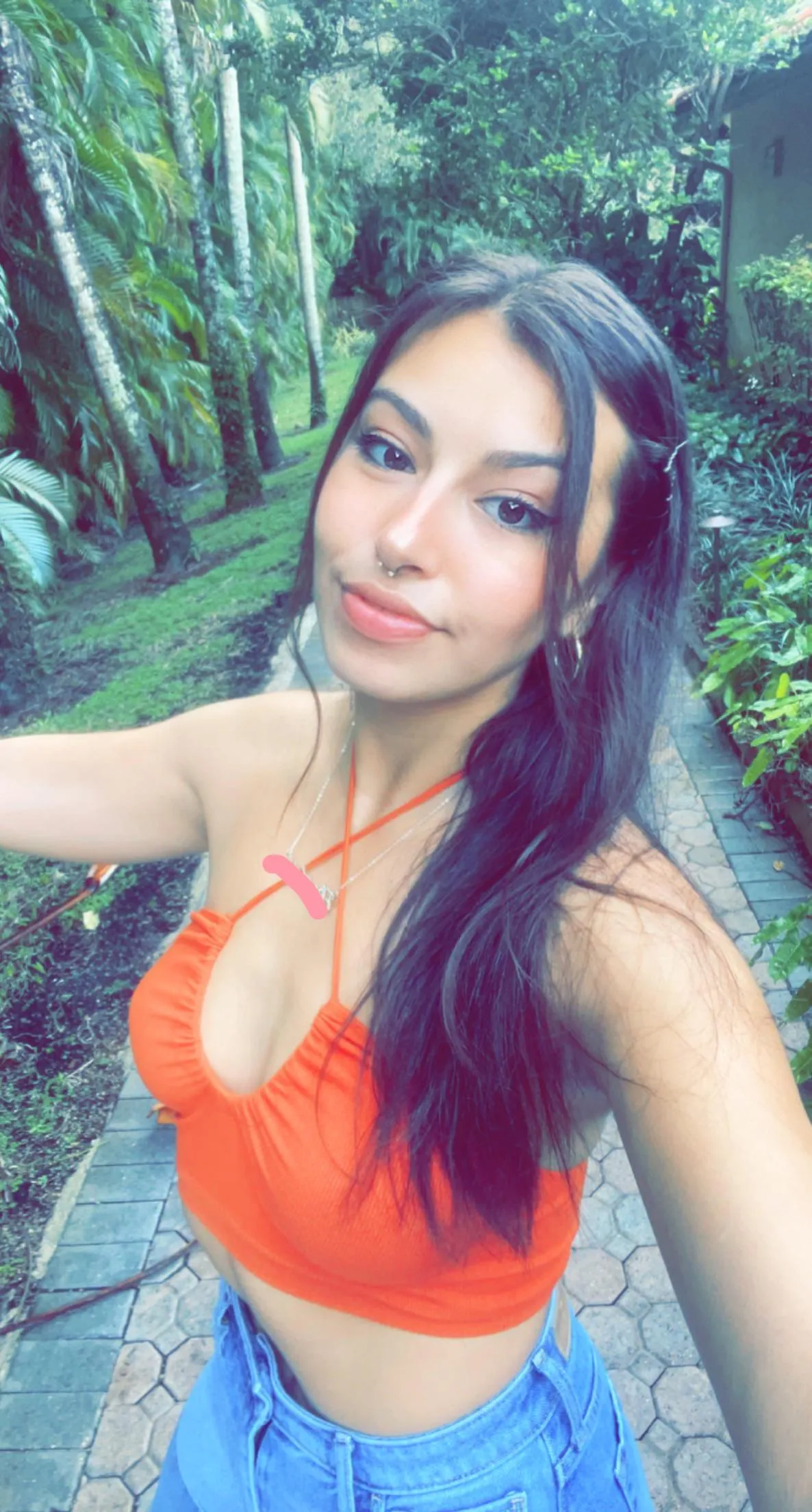 Colombian x Cuban  Asian