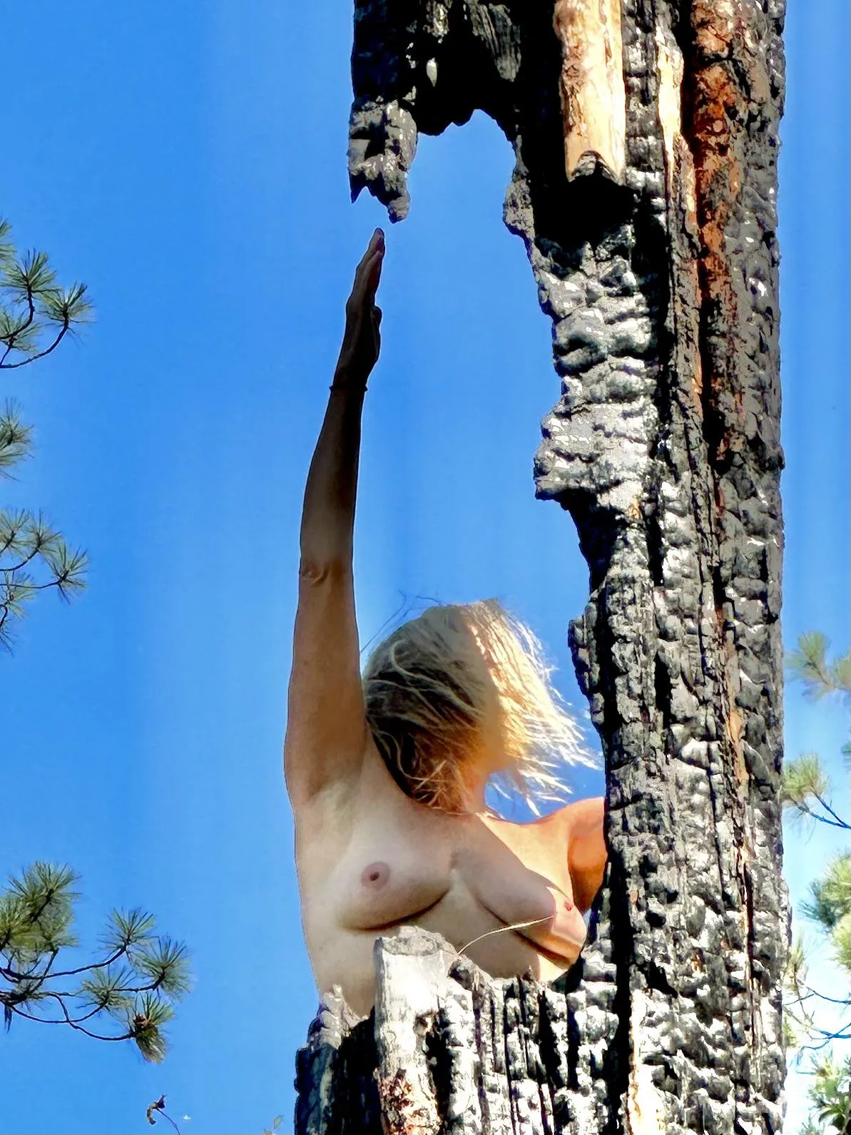 TreePoseTuesday