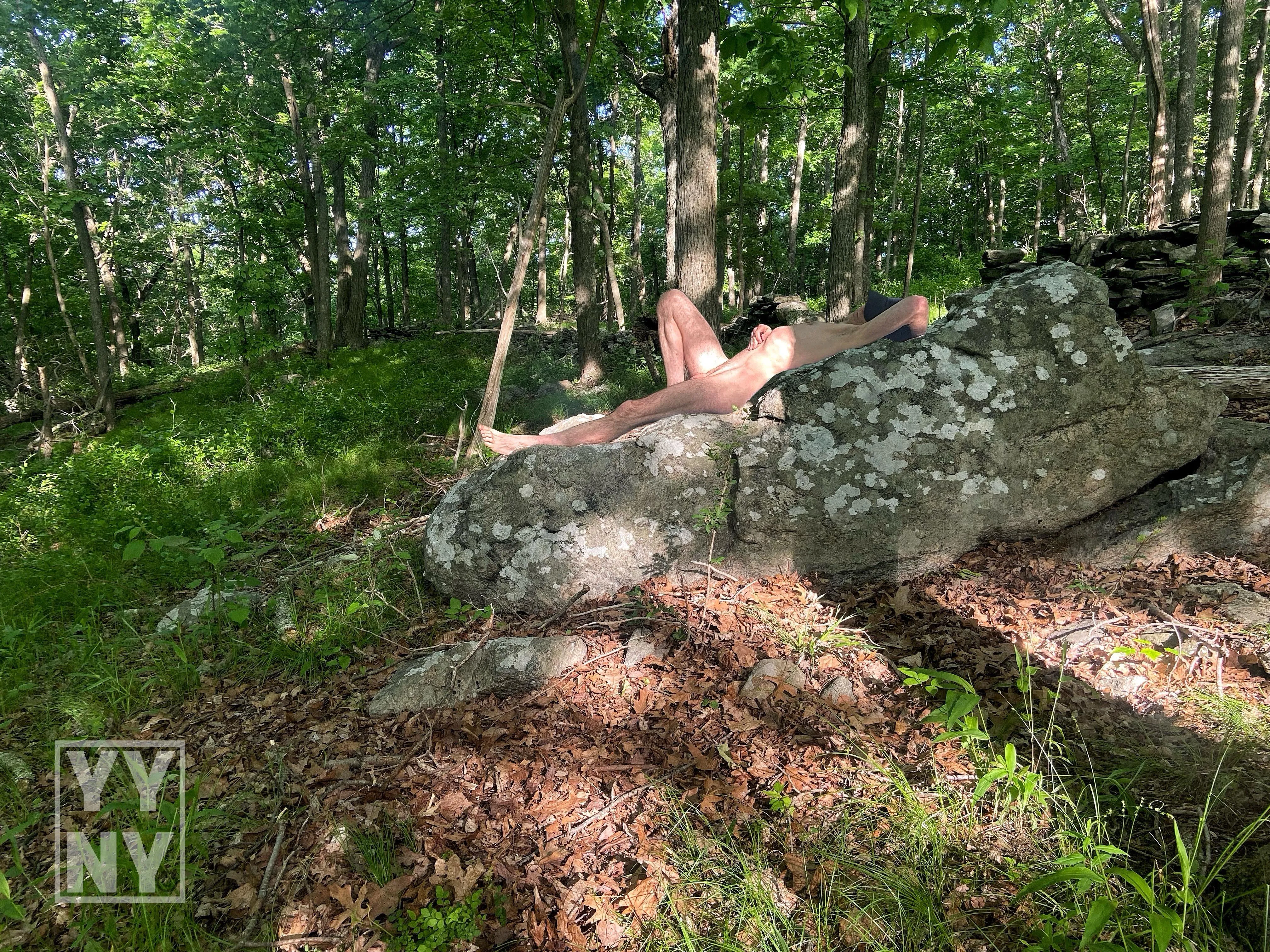 Someone left a bed in the middle of the woods!!!