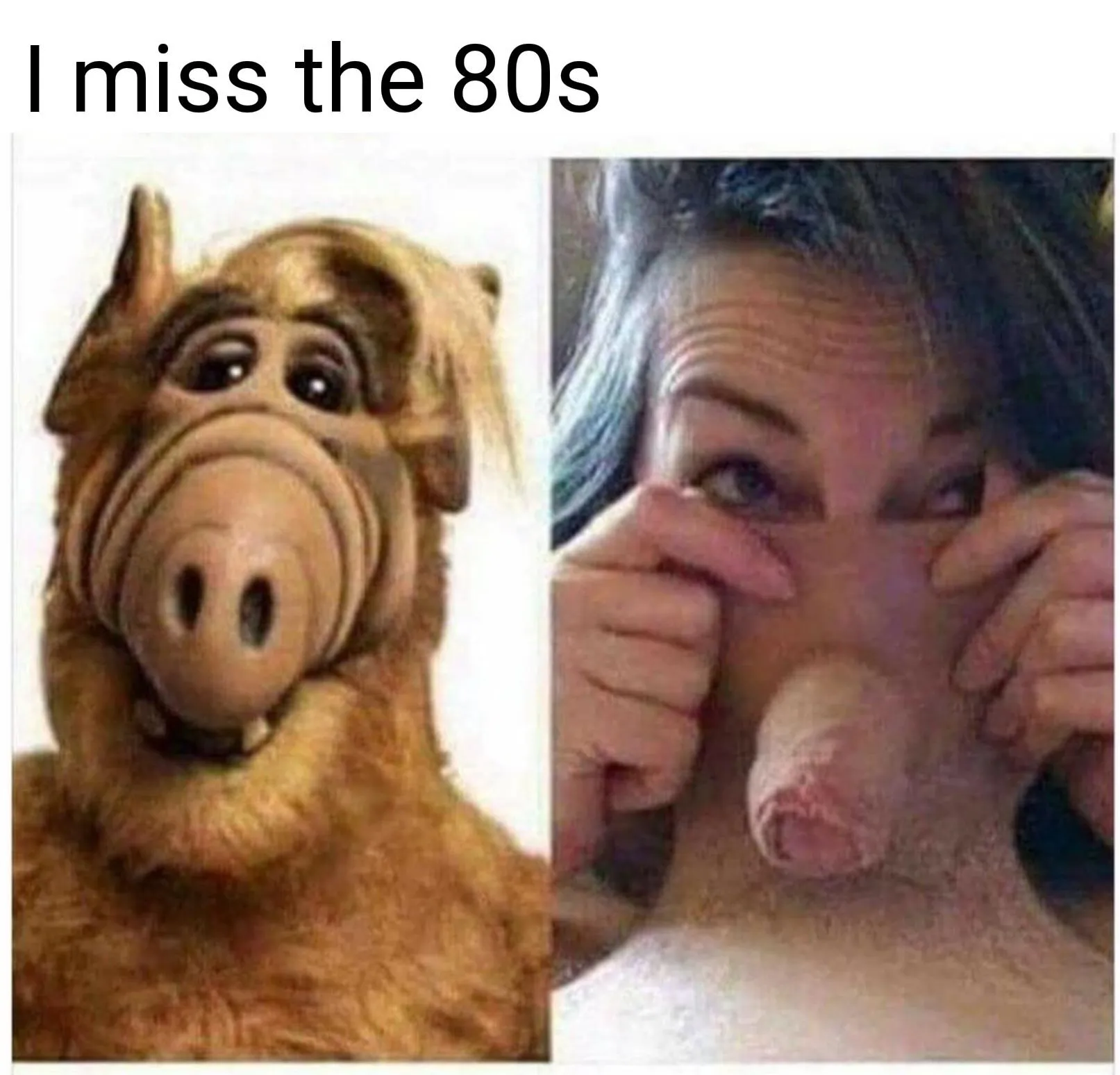 ALF'd