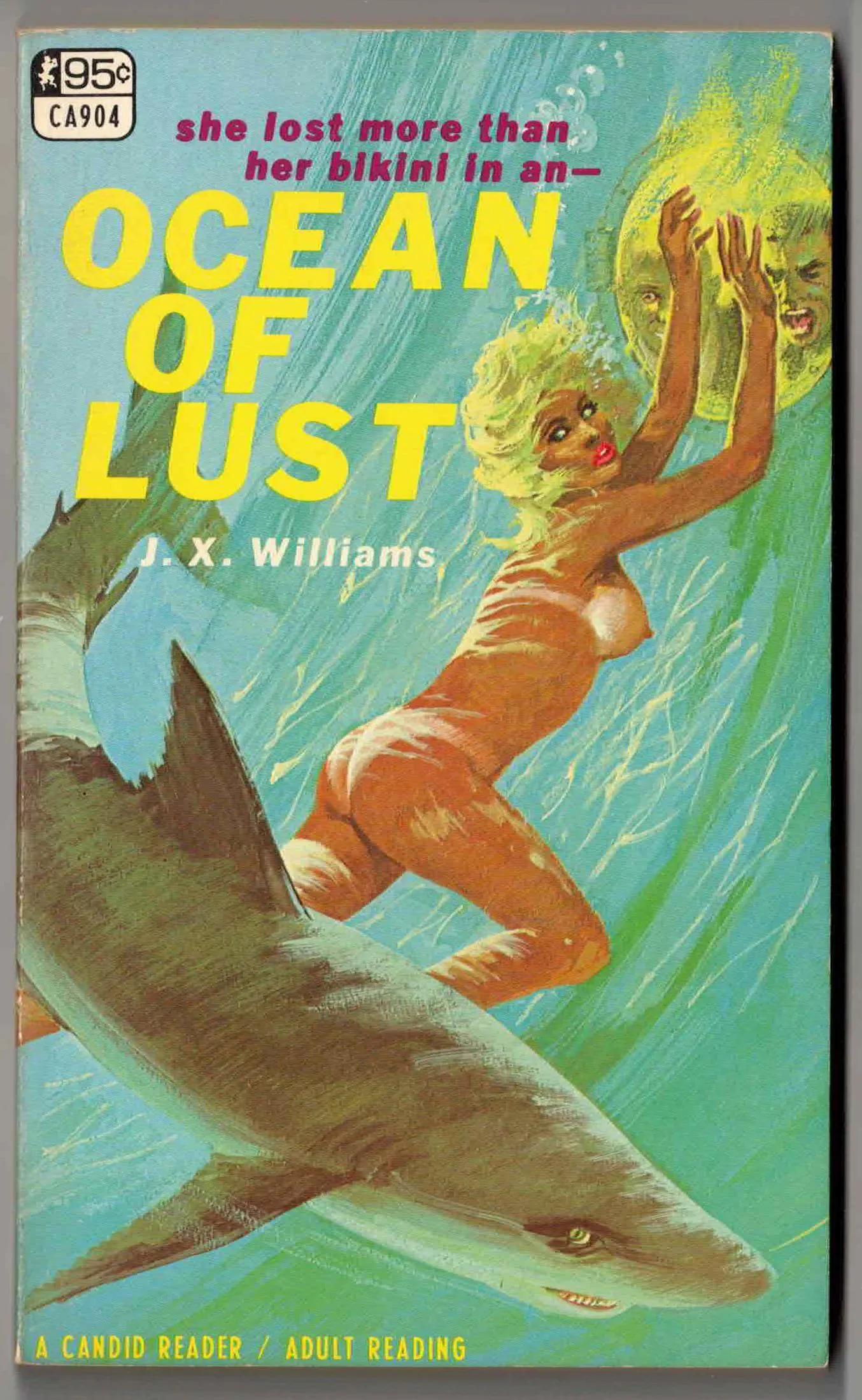 Paperback sleaze from 1967, cover art by Robert Bonfils